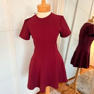 Zara Rich Burgundy Mini Dress